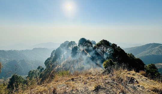 Kasauli